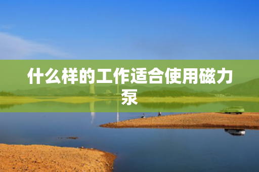 什么样的工作适合使用磁力泵