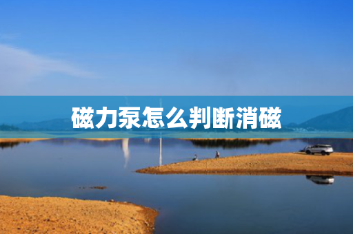 磁力泵怎么判断消磁