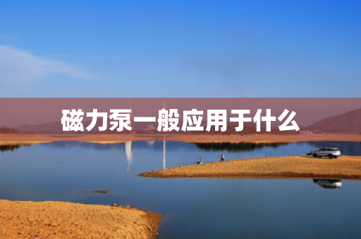 磁力泵一般应用于什么