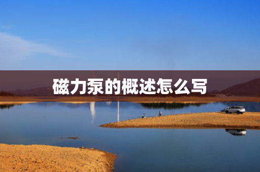 磁力泵的概述怎么写