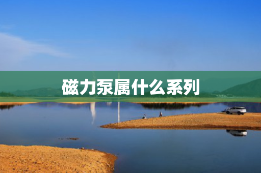 磁力泵属什么系列
