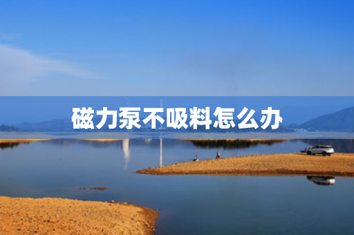 磁力泵不吸料怎么办