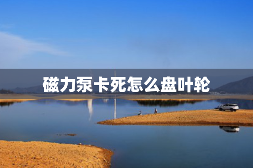 磁力泵卡死怎么盘叶轮