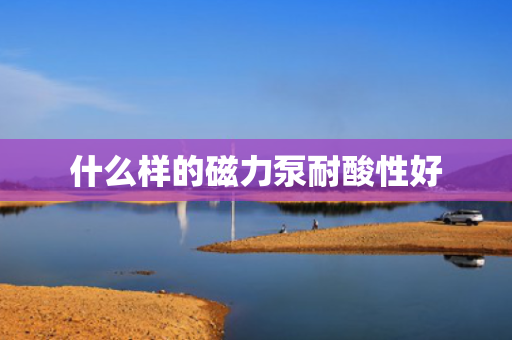 什么样的磁力泵耐酸性好