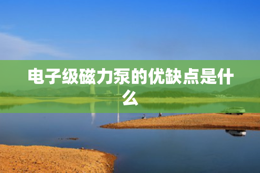 电子级磁力泵的优缺点是什么