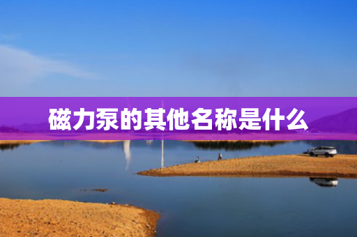 磁力泵的其他名称是什么