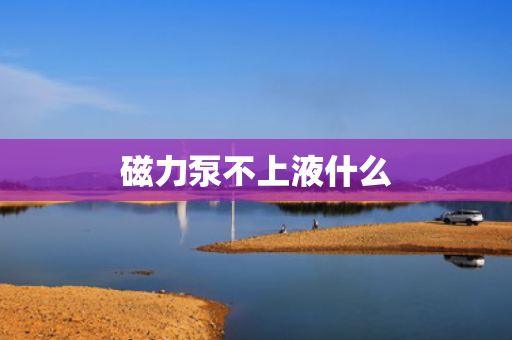 磁力泵不上液什么
