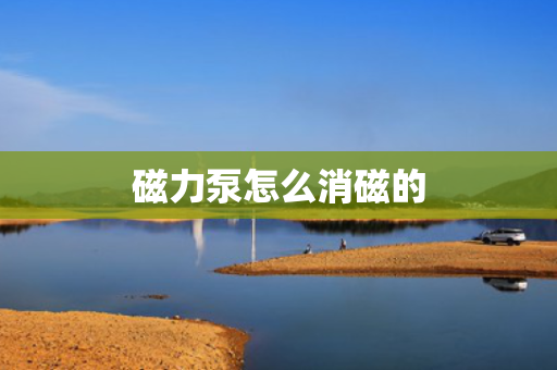 磁力泵怎么消磁的