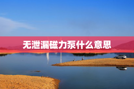 无泄漏磁力泵什么意思