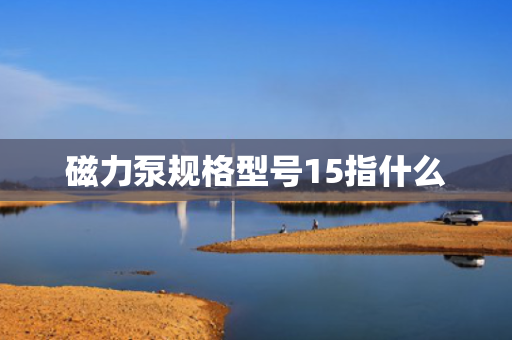 磁力泵规格型号15指什么