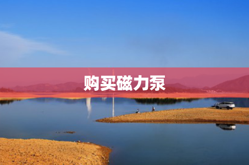 购买磁力泵