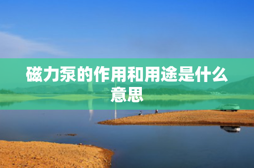 磁力泵的作用和用途是什么意思
