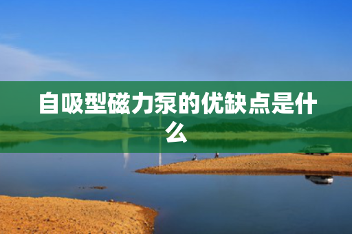 自吸型磁力泵的优缺点是什么
