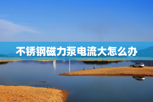 不锈钢磁力泵电流大怎么办