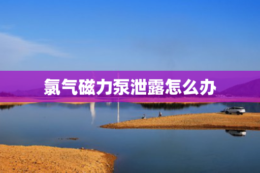 氯气磁力泵泄露怎么办