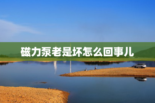 磁力泵老是坏怎么回事儿