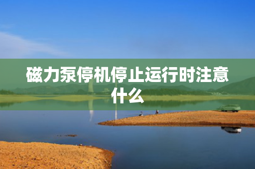 磁力泵?；Ｖ乖诵惺弊⒁馐裁? title=