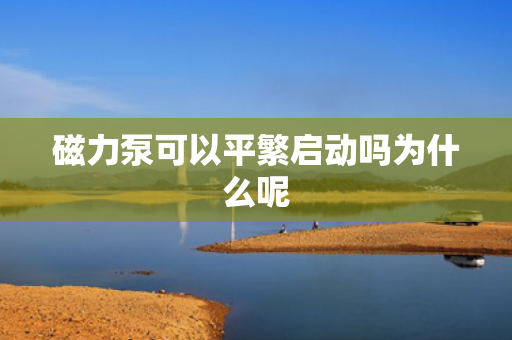磁力泵可以平繁启动吗为什么呢