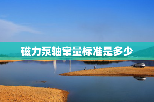 磁力泵轴窜量标准是多少