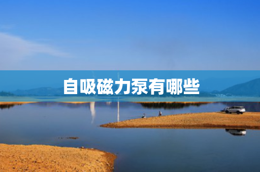 自吸磁力泵有哪些