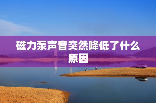 磁力泵声音突然降低了什么原因