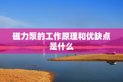 磁力泵的工作原理和优缺点是什么