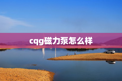 cqg磁力泵怎么样