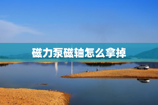 磁力泵磁轴怎么拿掉