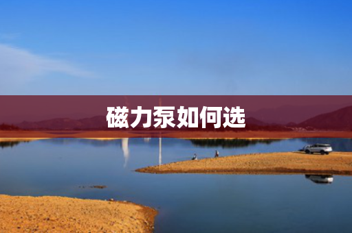 磁力泵如何选