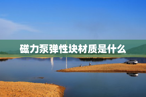 磁力泵弹性块材质是什么