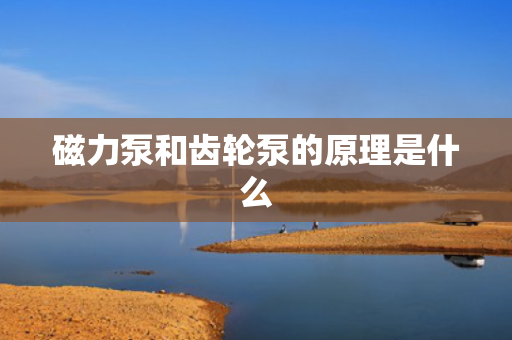 磁力泵和齿轮泵的原理是什么