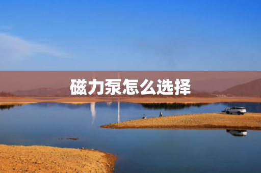 磁力泵怎么选择