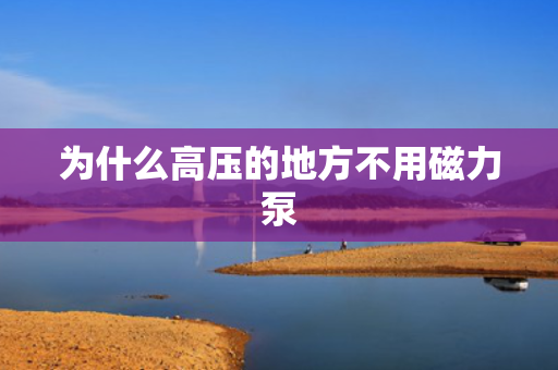 为什么高压的地方不用磁力泵