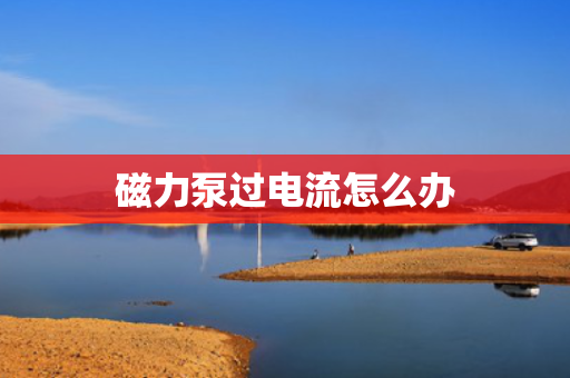 磁力泵过电流怎么办