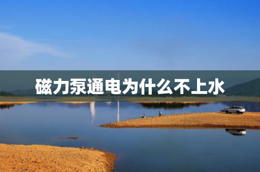 磁力泵通电为什么不上水