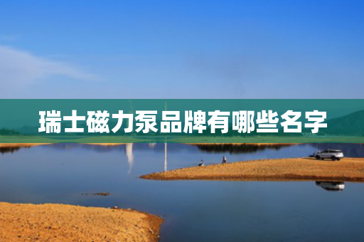 瑞士磁力泵品牌有哪些名字