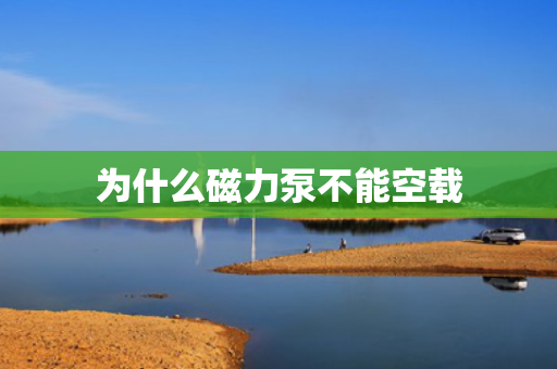 为什么磁力泵不能空载