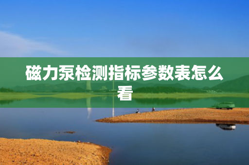 磁力泵检测指标参数表怎么看