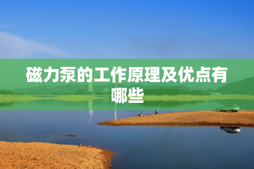 磁力泵的工作原理及优点有哪些