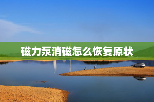 磁力泵消磁怎么恢复原状
