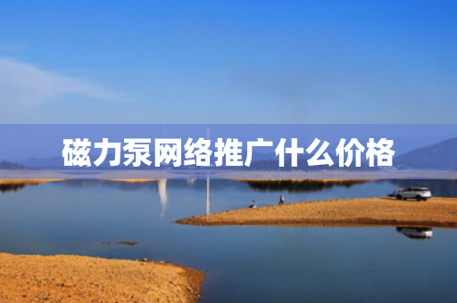 磁力泵网络推广什么价格