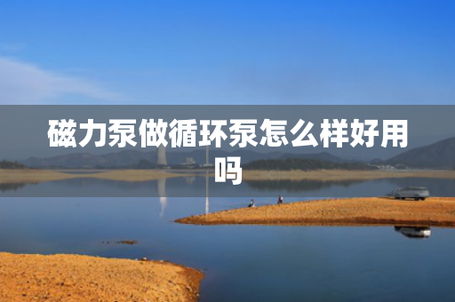 磁力泵做循环泵怎么样好用吗