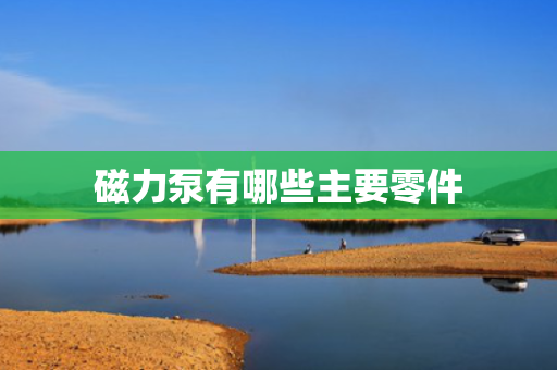 磁力泵有哪些主要零件