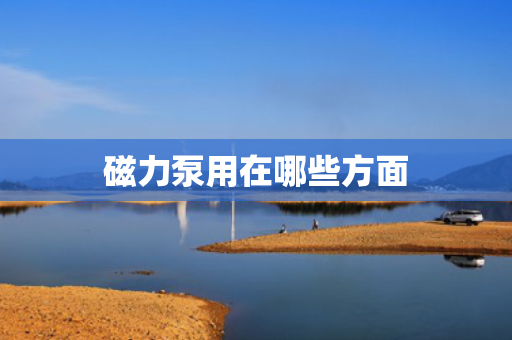 磁力泵用在哪些方面