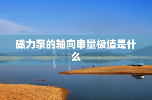 磁力泵的轴向串量极值是什么