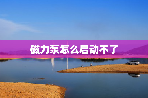 磁力泵怎么启动不了