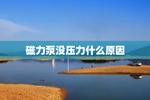 磁力泵没压力什么原因