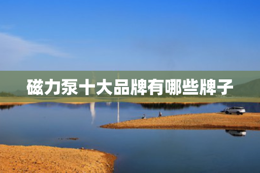 磁力泵十大品牌有哪些牌子