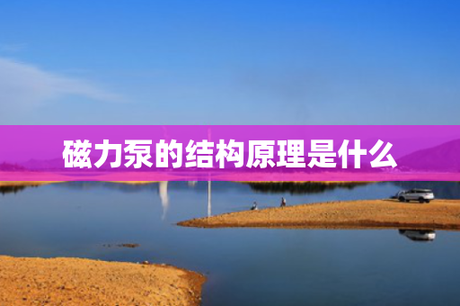 磁力泵的结构原理是什么