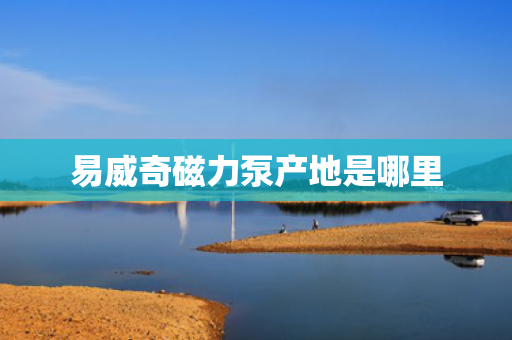 易威奇磁力泵产地是哪里